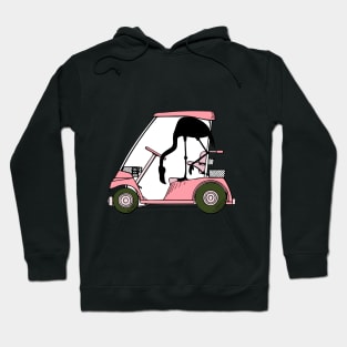 Golf Lovers Golf Humor with Flamingo Hoodie